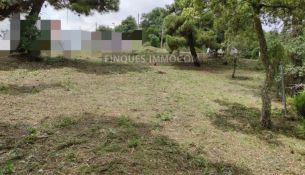 PARCEL·LA URBANITZADA A FONT BONA